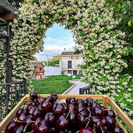 Apartamento Ardigo - O