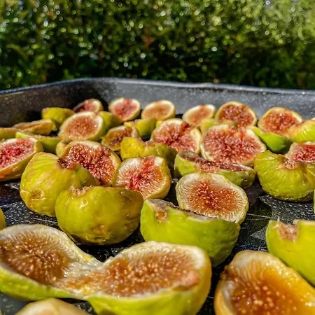 Apartamento Ardigo - O *