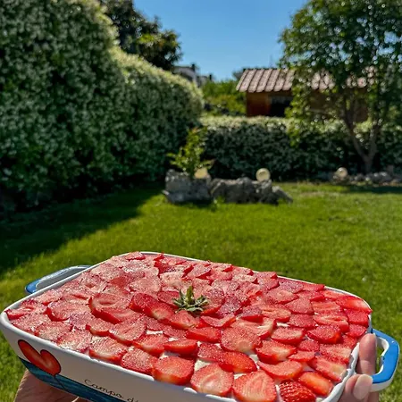 Apartament Ardigo - O