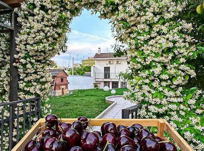 Appartement Ardigo - O